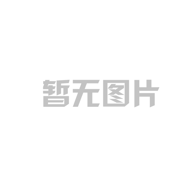 中共重庆合信工程咨询有限公司支部委员会成立大会